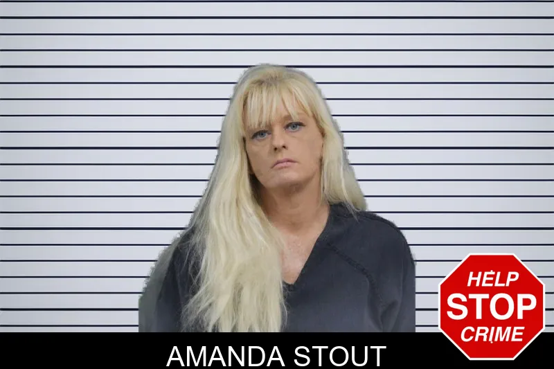 Amanda Stout mugshot – Catoosa County , Georgia Amanda Stout mugshot