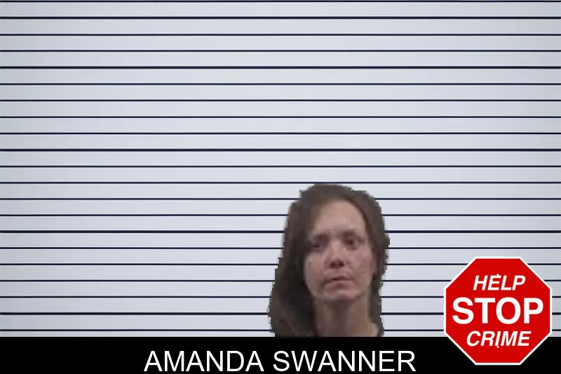Amanda Swanner mugshot