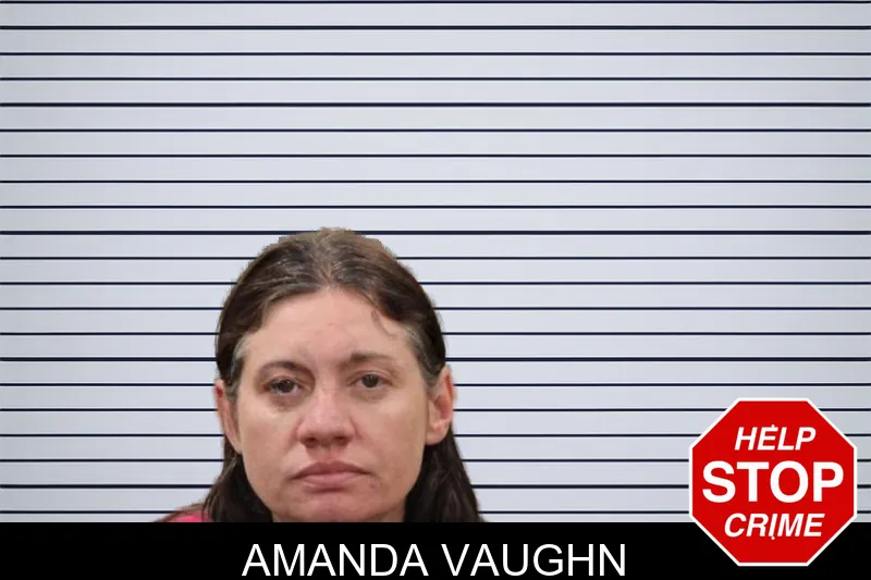 Amanda Vaughn mugshot