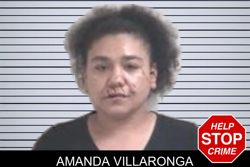 Amanda Villaronga mugshot