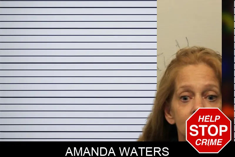 Amanda Waters mugshot