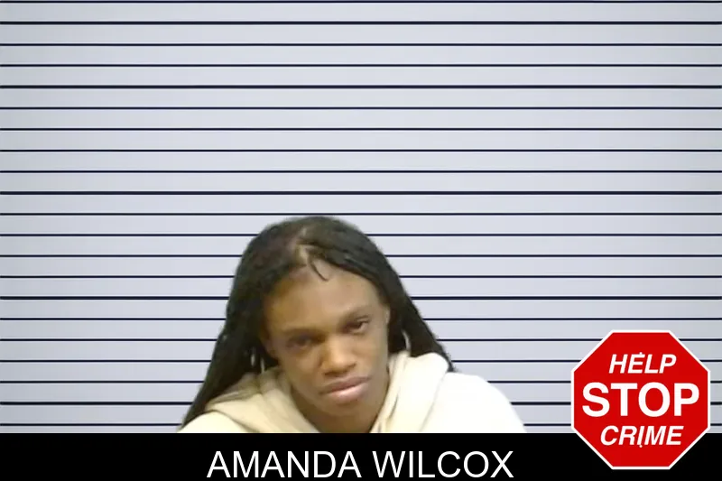Amanda Wilcox mugshot