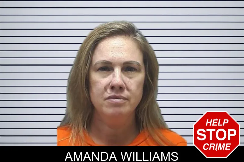 Amanda Williams mugshot – Cherokee County , Georgia Amanda Williams mugshot