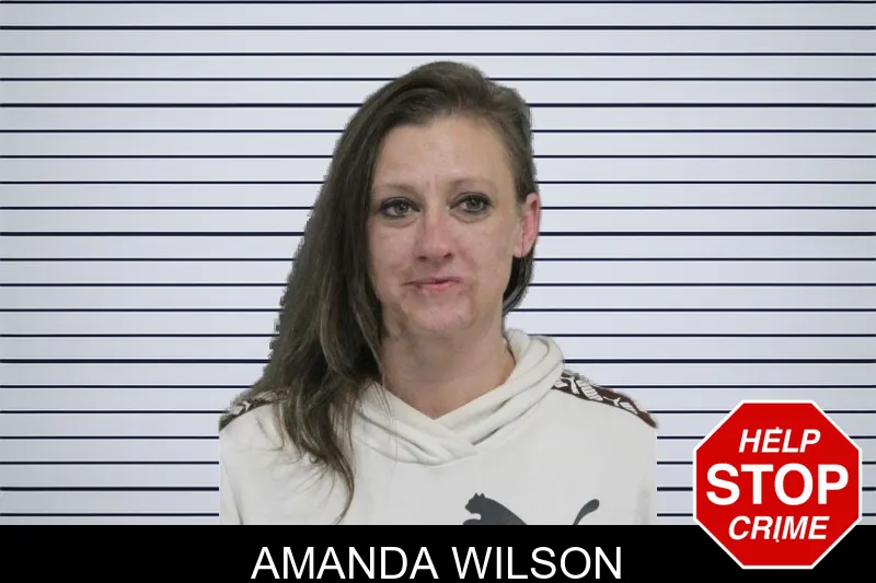 Amanda Wilson mugshot