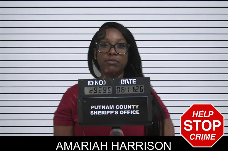 Amariah Harrison mugshot