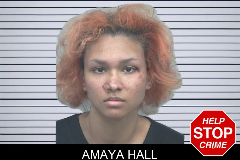 Amaya Hall mugshot