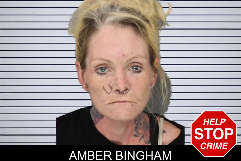 Amber Bingham mugshot