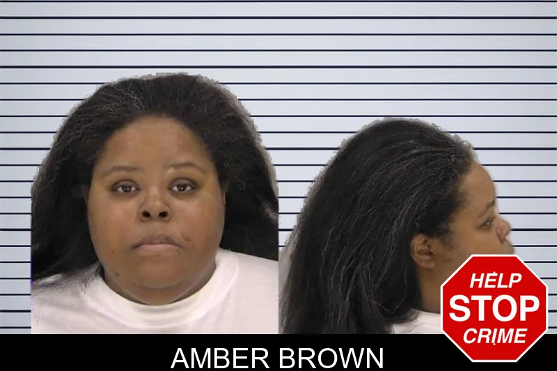 Amber Brown mugshot