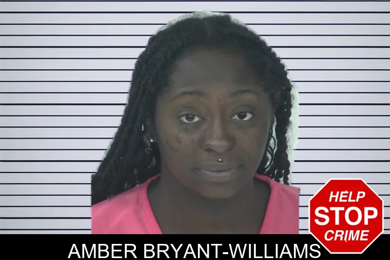 Amber Bryant-Williams mugshot – Fayette County , Georgia Amber Bryant-Williams mugshot