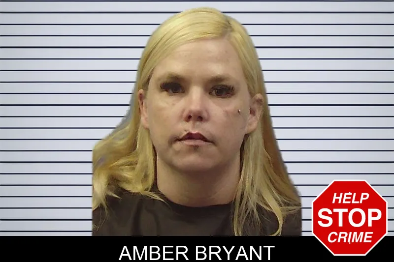 Amber Bryant mugshot – Chattooga County , Georgia Amber Bryant mugshot