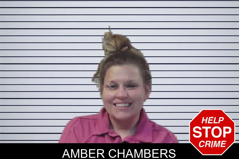 Amber Chambers mugshot