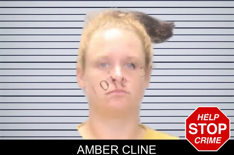 Amber Cline mugshot – Muscogee County , Georgia Amber Cline mugshot