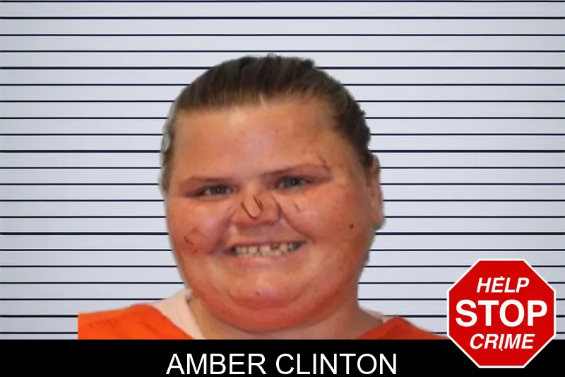 Amber Clinton mugshot