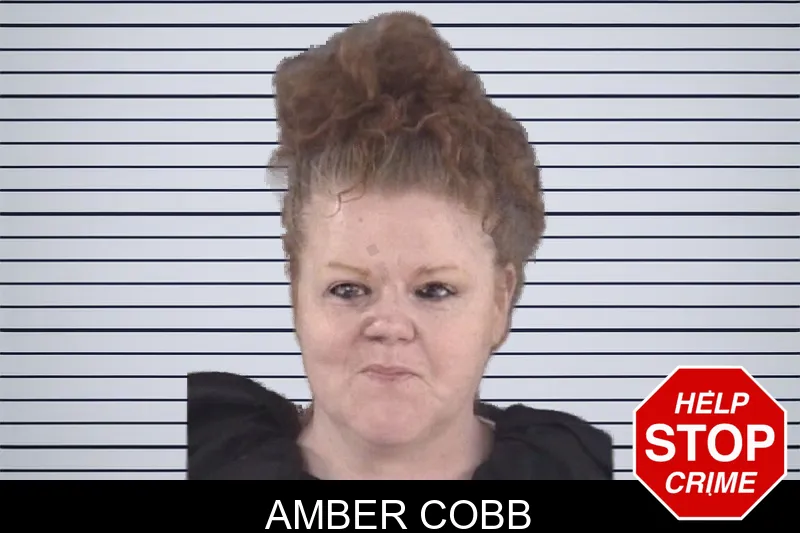 Amber Cobb mugshot