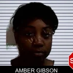 Amber Gibson mugshot