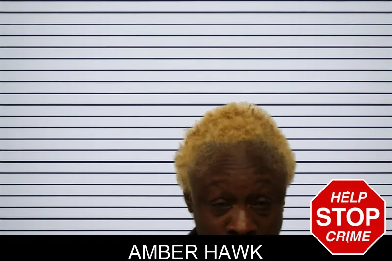 Amber Hawk mugshot – Chatham County , Georgia Amber Hawk mugshot