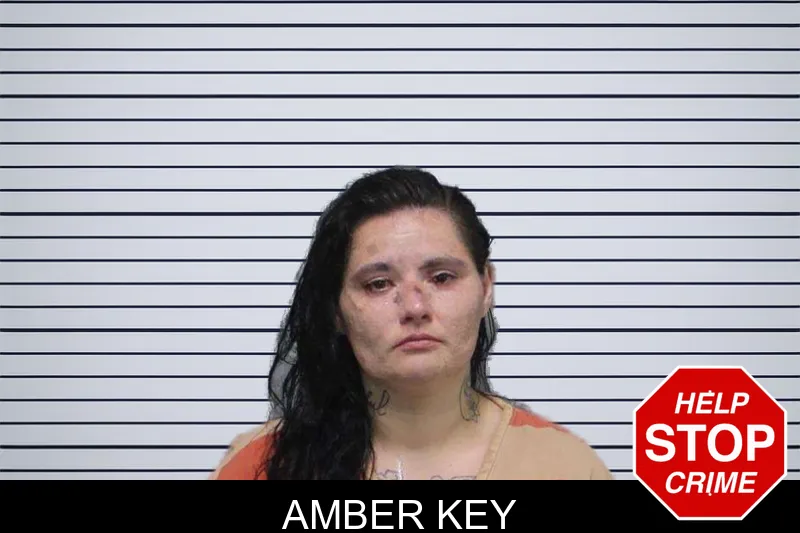 Amber Key mugshot