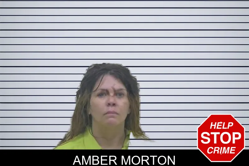 Amber Morton mugshot