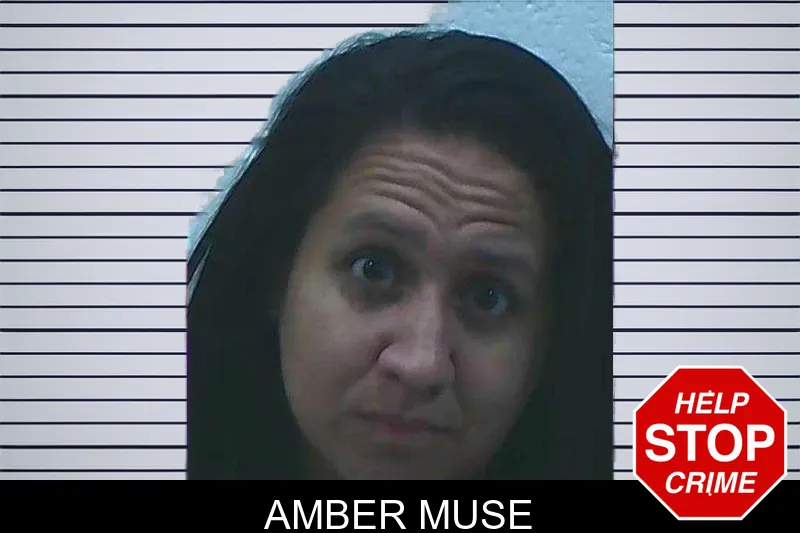Amber Muse mugshot – Jackson County , Georgia Amber Muse mugshot