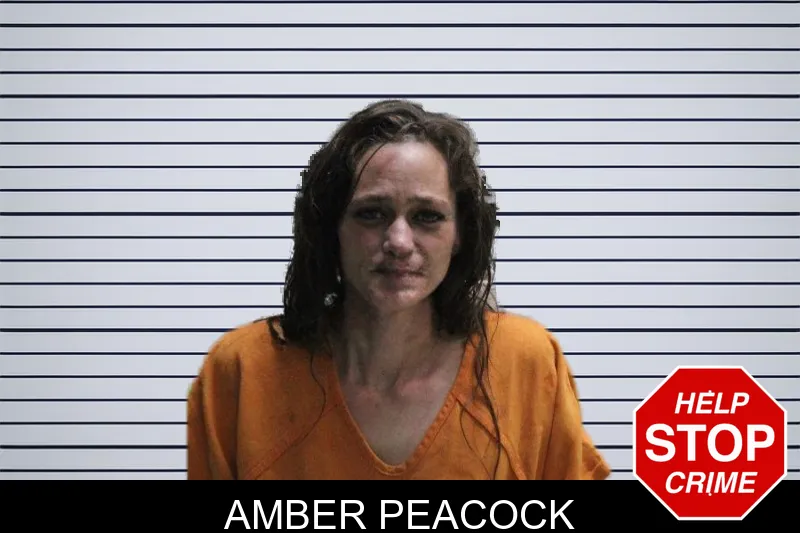 Amber Peacock mugshot