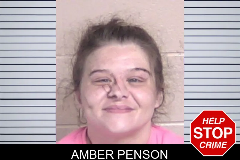 Amber Penson mugshot