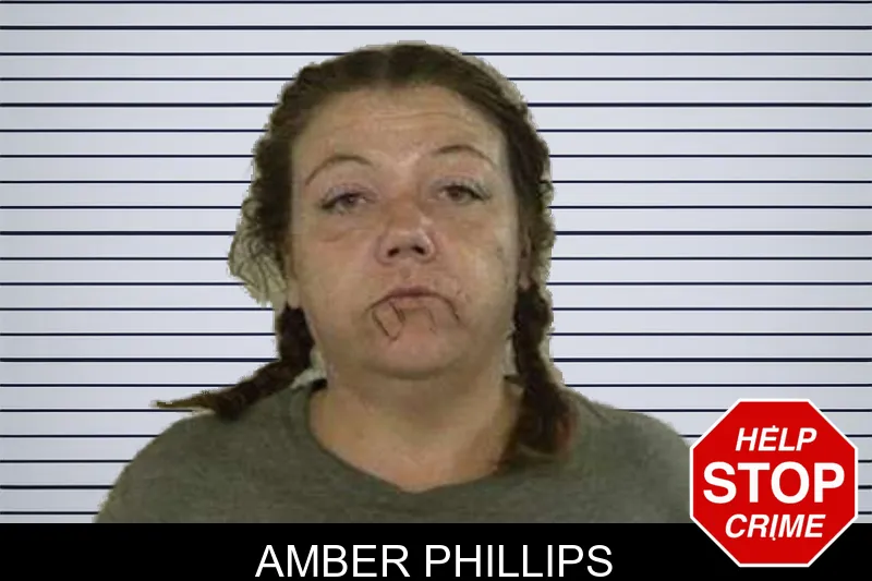 Amber Phillips mugshot