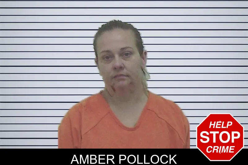 Amber Pollock mugshot – Worth County , Georgia Amber Pollock mugshot