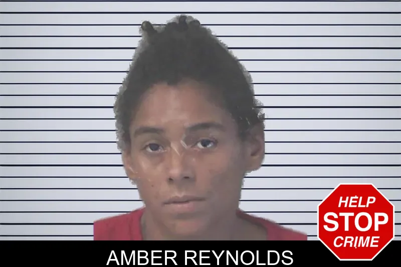 Amber Reynolds mugshot
