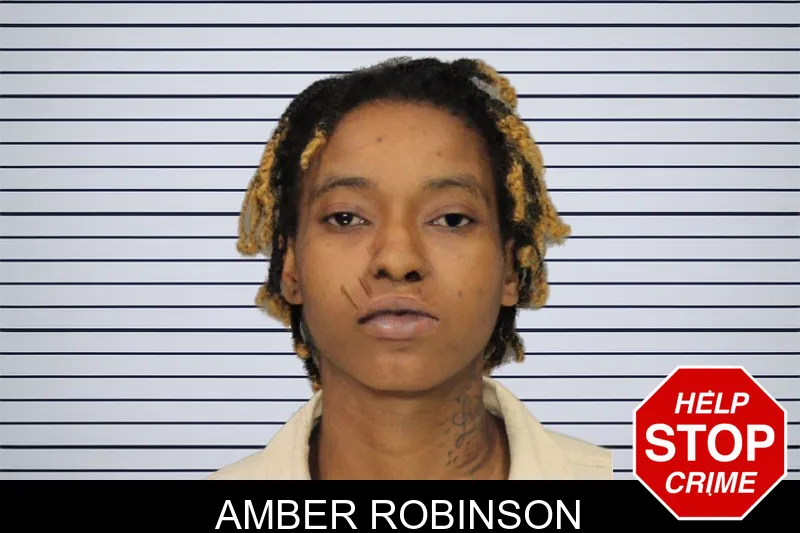 Amber Robinson mugshot – Cobb County , Georgia Amber Robinson mugshot