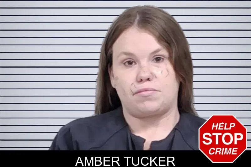 Amber Tucker mugshot – Lowndes County , Georgia Amber Tucker mugshot