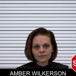 Amber Wilkerson mugshot