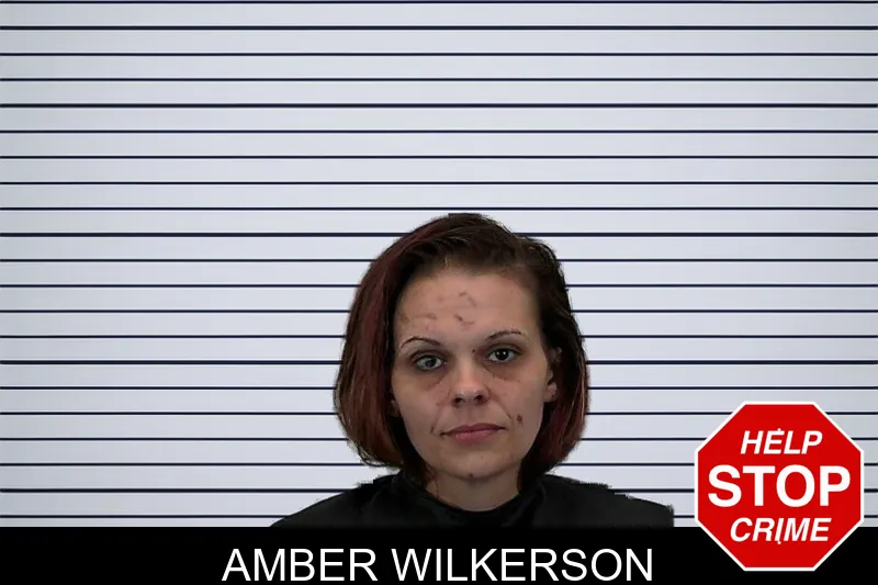 Amber Wilkerson mugshot