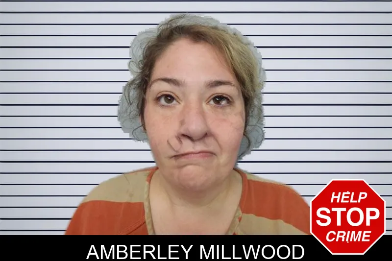 Amberley Millwood mugshot – Hall County , Georgia Amberley Millwood mugshot