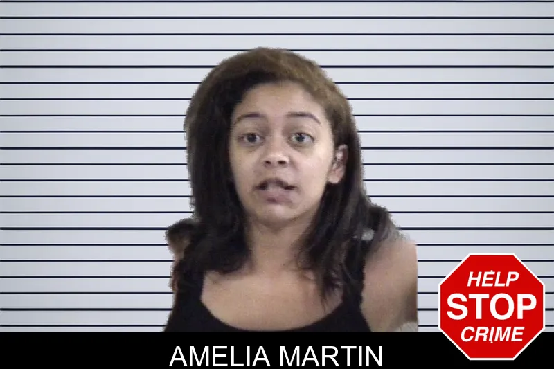 Amelia Martin mugshot