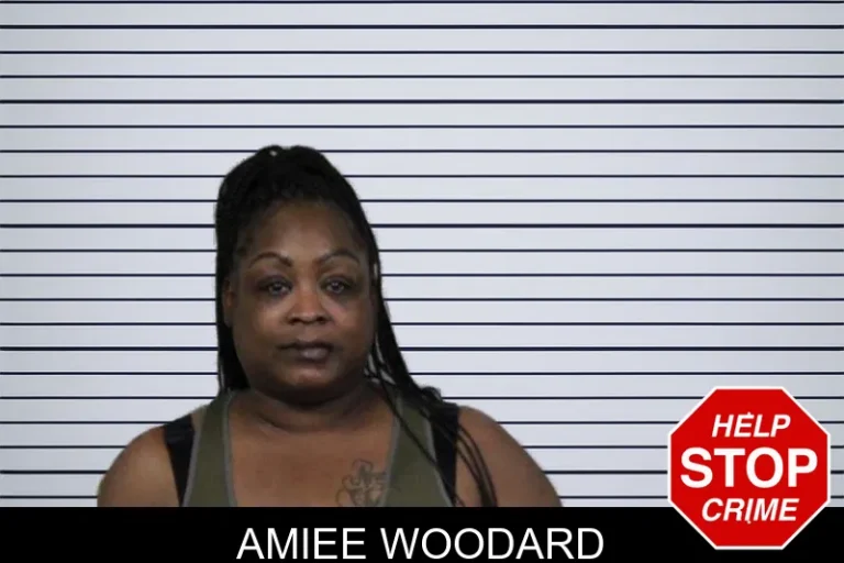Amiee Woodard mugshot – Lamar County , Georgia Amiee Woodard