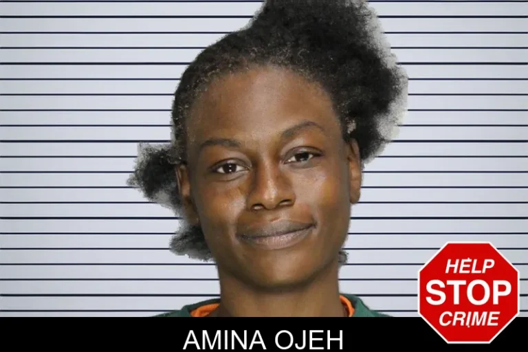 Amina Ojeh mugshot – Cobb County , Georgia Amina Ojeh