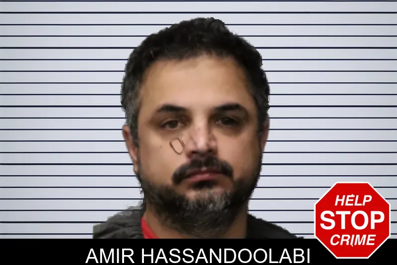 Amir Hassandoolabi mugshot