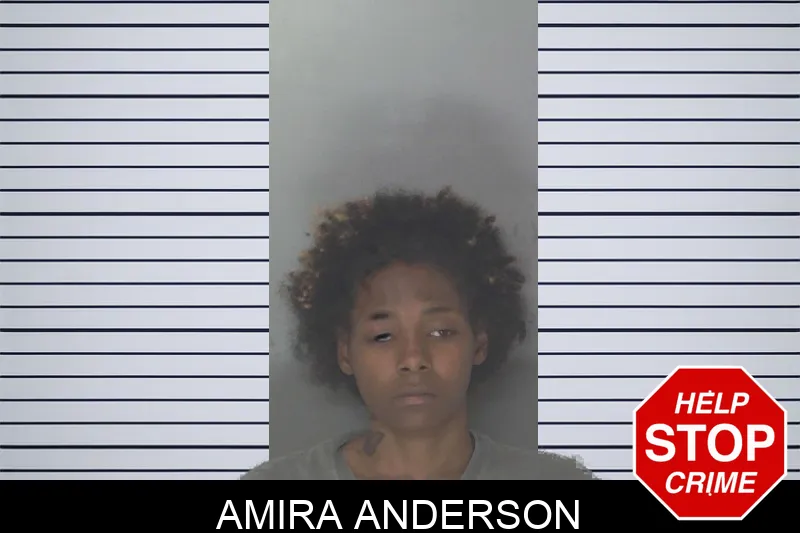 Amira Anderson mugshot