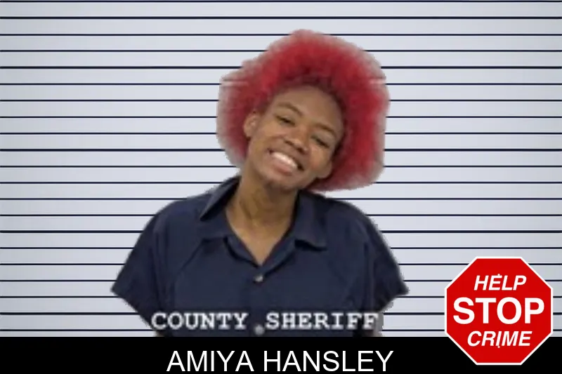 Amiya Hansley mugshot
