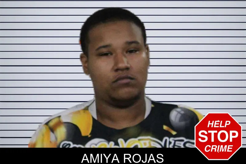 Amiya Rojas mugshot