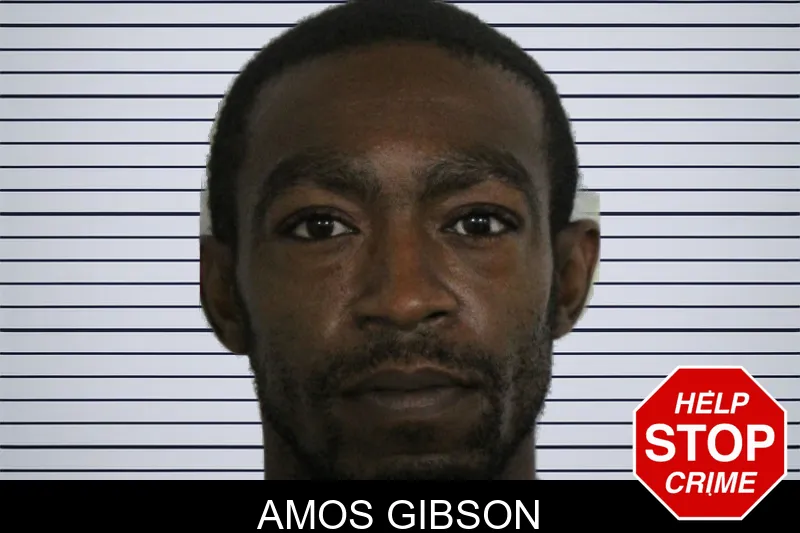 Amos Gibson mugshot