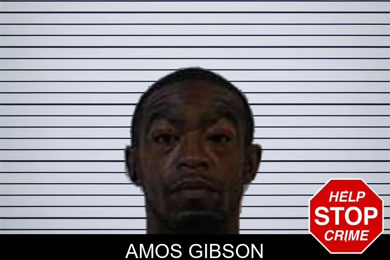 Amos Gibson mugshot