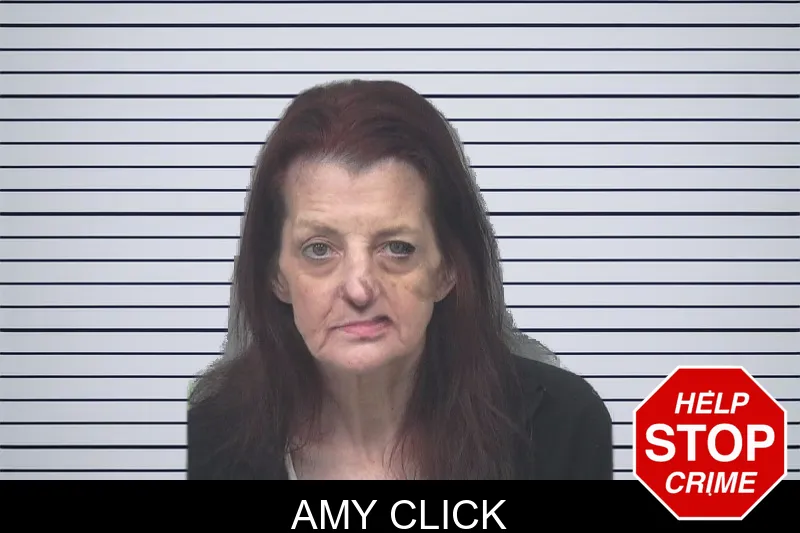 Amy Click mugshot