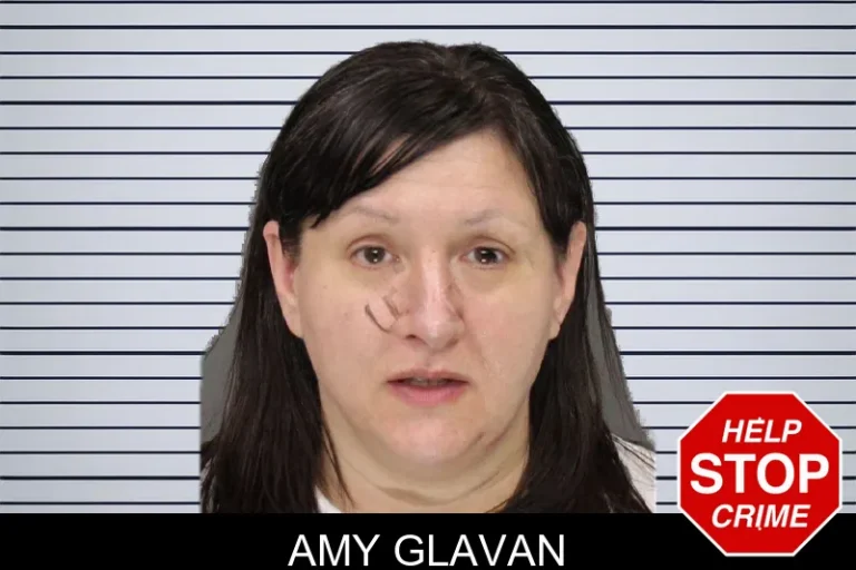Amy Glavan mugshot – Cobb County , Georgia Amy Glavan