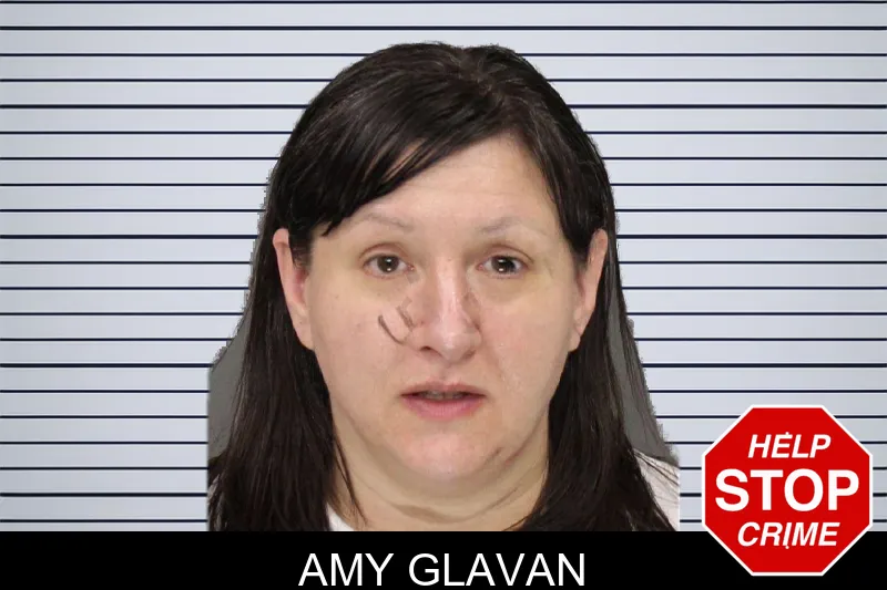 Amy Glavan mugshot – Cobb County , Georgia Amy Glavan mugshot