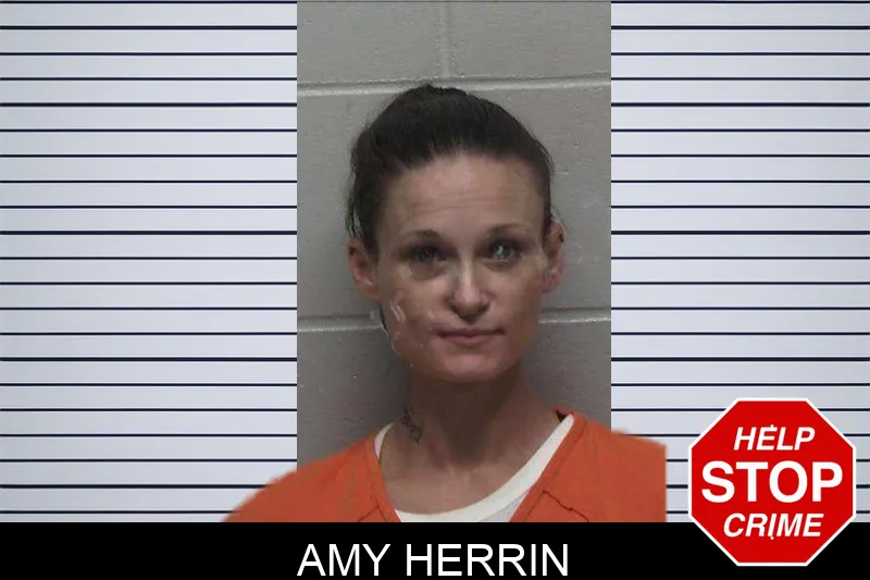 Amy Herrin mugshot