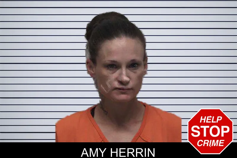 Amy Herrin mugshot – Laurens County , Georgia Amy Herrin mugshot