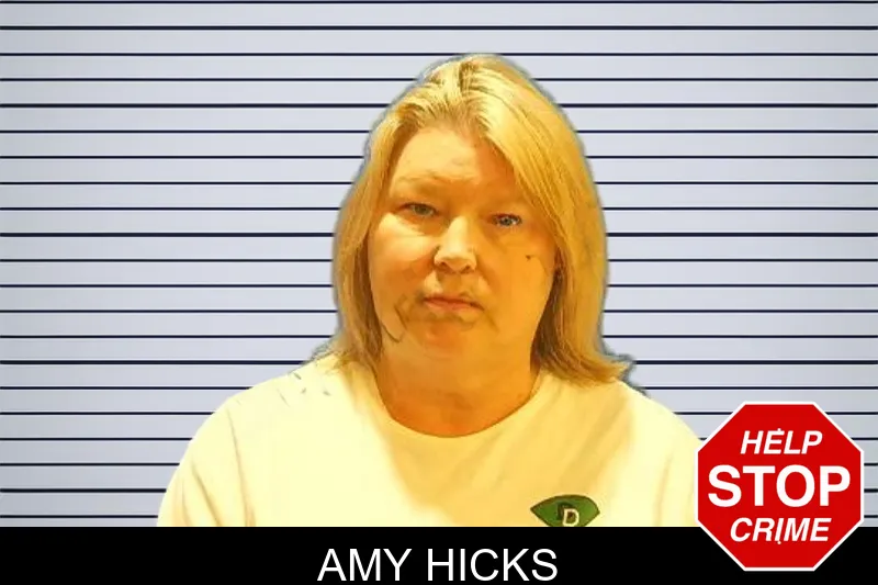Amy Hicks mugshot