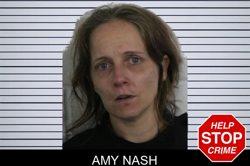 Amy Nash mugshot – Floyd County , Georgia Amy Nash mugshot