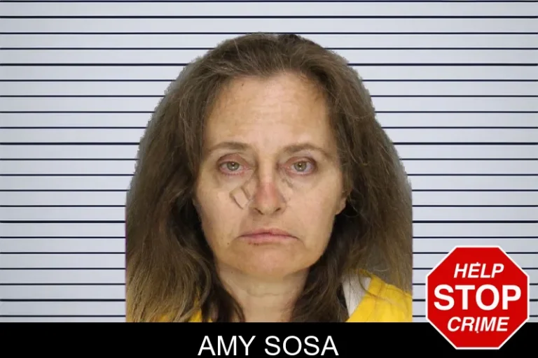 Amy Sosa mugshot – Cobb County , Georgia Amy Sosa